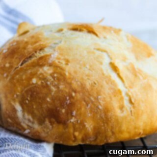 Homemade Dutch Oven Crusty Bread, a perfect no-knead artisan loaf