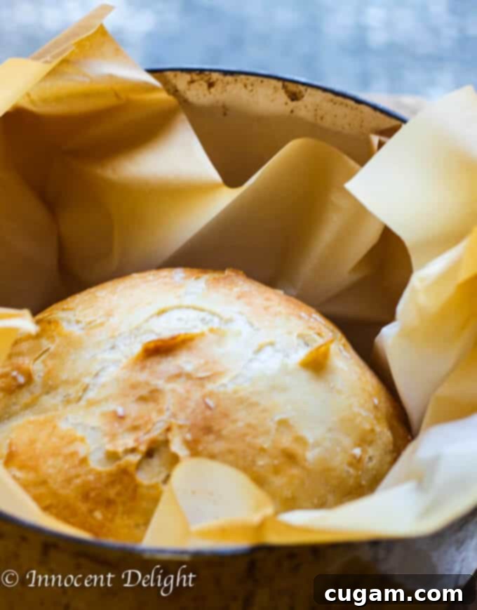 A perfectly baked, golden-brown crusty bread loaf cooling in a Dutch oven