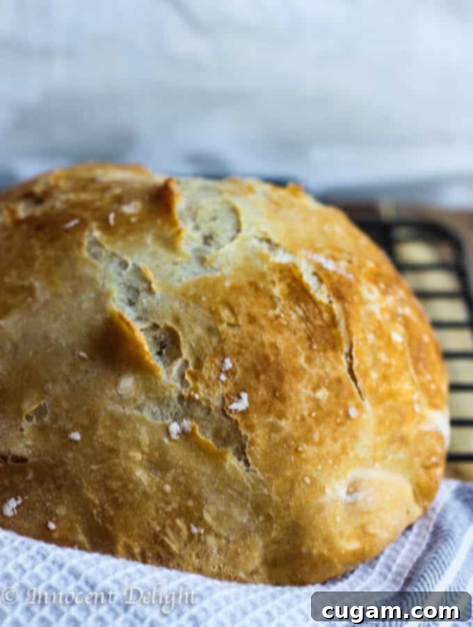Homemade Dutch Oven Crusty Bread displayed on a rustic board with a linen towel