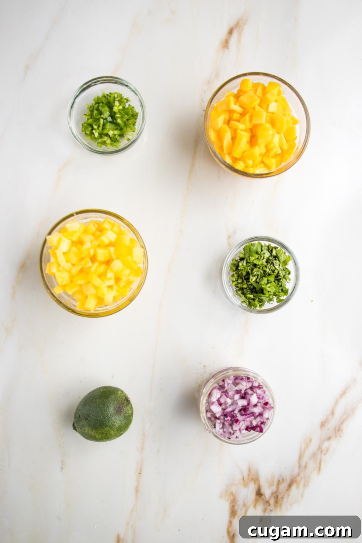 Vibrant Pineapple Mango Salsa 3 Tropical fruit salsa ingredients in small bowls: minced jalapenos, diced mango and pineapple, chopped cilantro, a lime and small diced red onions.
