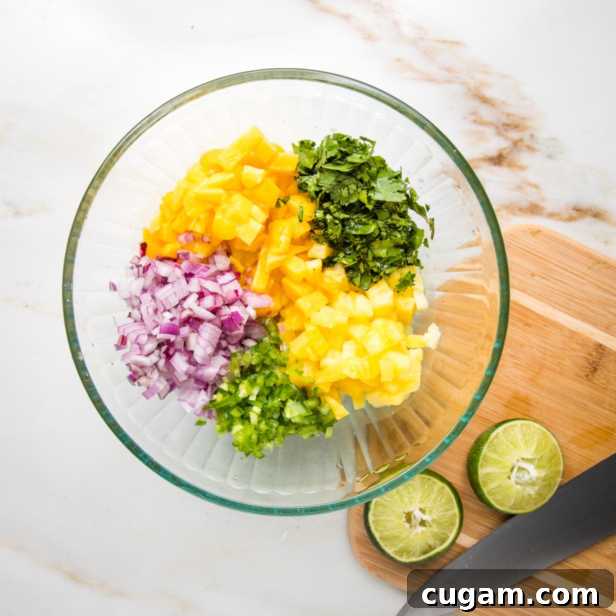 Vibrant Pineapple Mango Salsa 4 img 13509 3