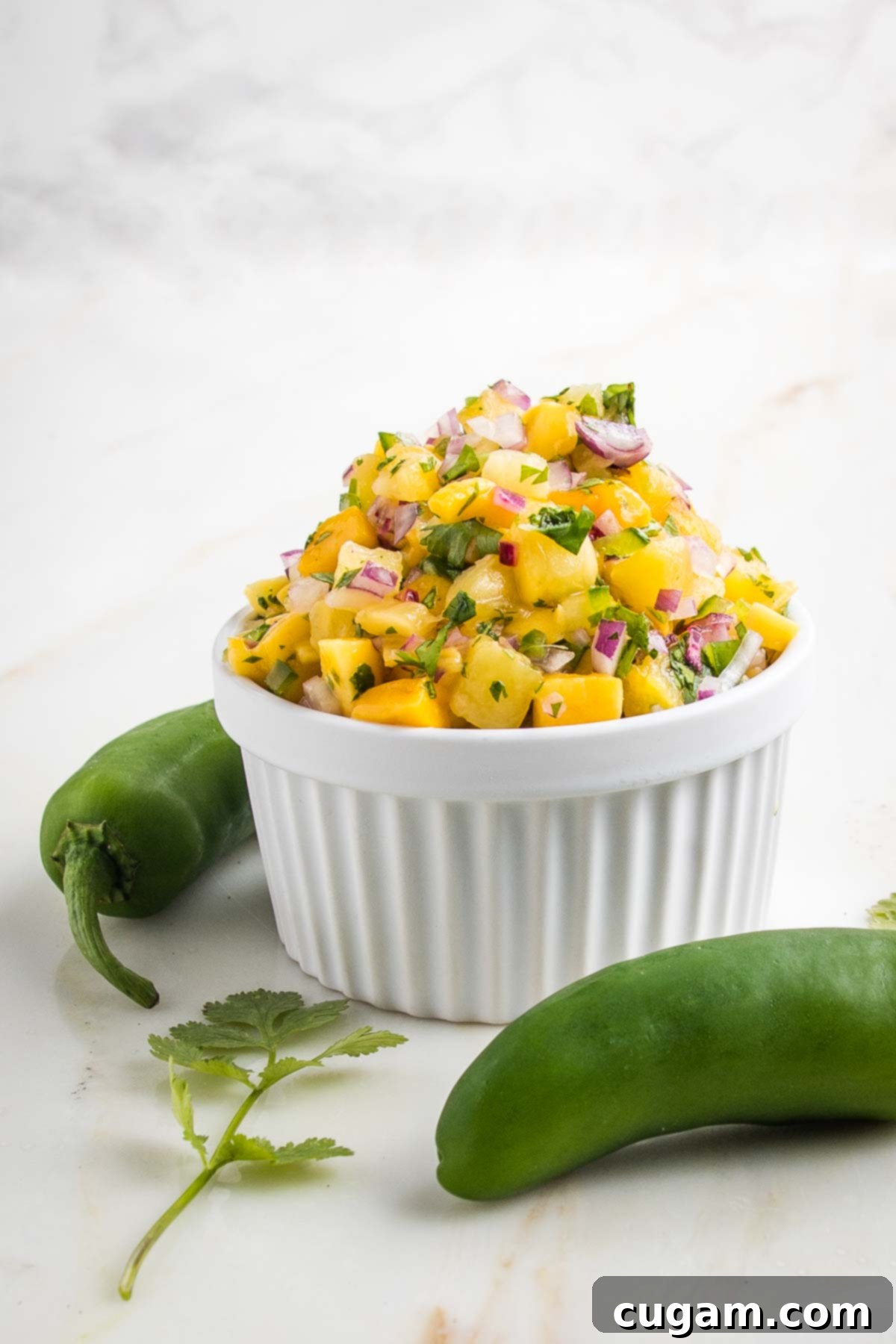 Vibrant Pineapple Mango Salsa 6 Side view of a small white bowl piled high with pineapple salsa. Jalapeno peppers and fresh cilantro in the foreground.