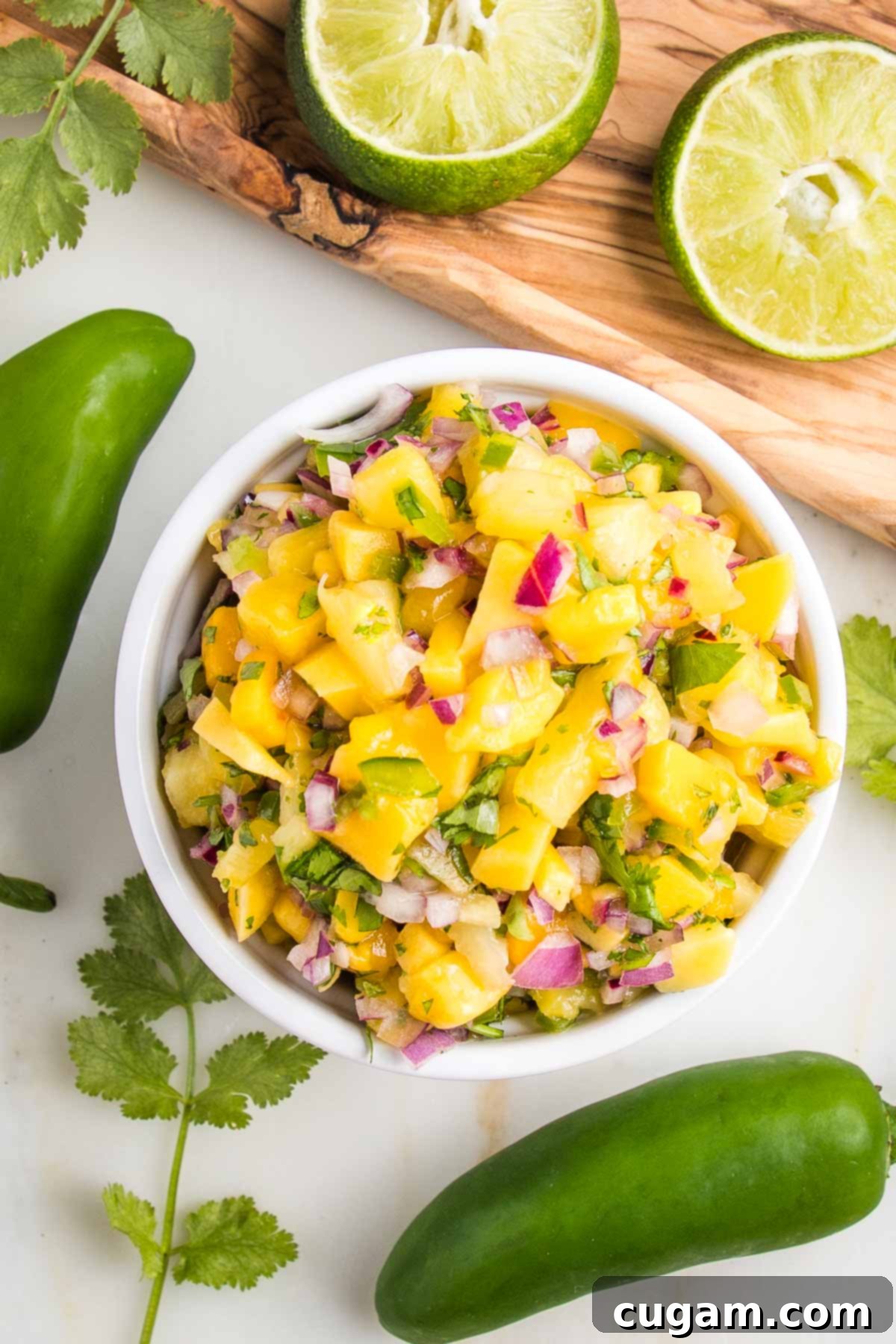 Vibrant Pineapple Mango Salsa 7 Small white bowl filled with pineapple mango salsa, whole jalapenos, sprigs of fresh cilantro and juiced limes surround the salsa.