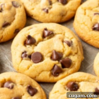 A freshly baked classic chocolate chip pudding cookie, perfectly golden brown.