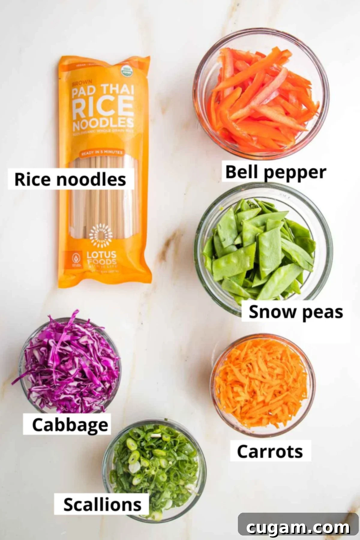 Labeled ingredients: rice noodles, bell pepper, snow peas, cabbage, scallions, carrots.