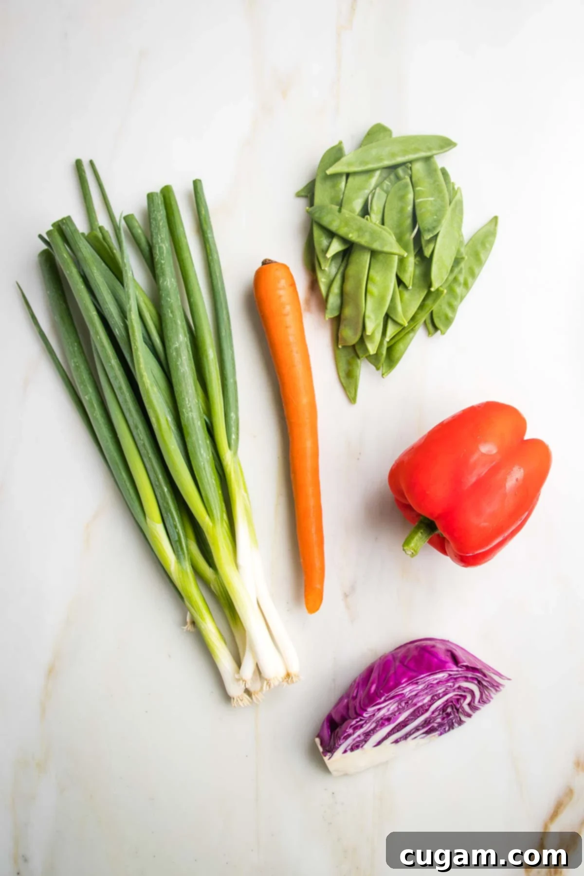 A bunch of scallions, one carrot, a pile of snow peas, one red bell pepper and ⅛ of a red cabbage.