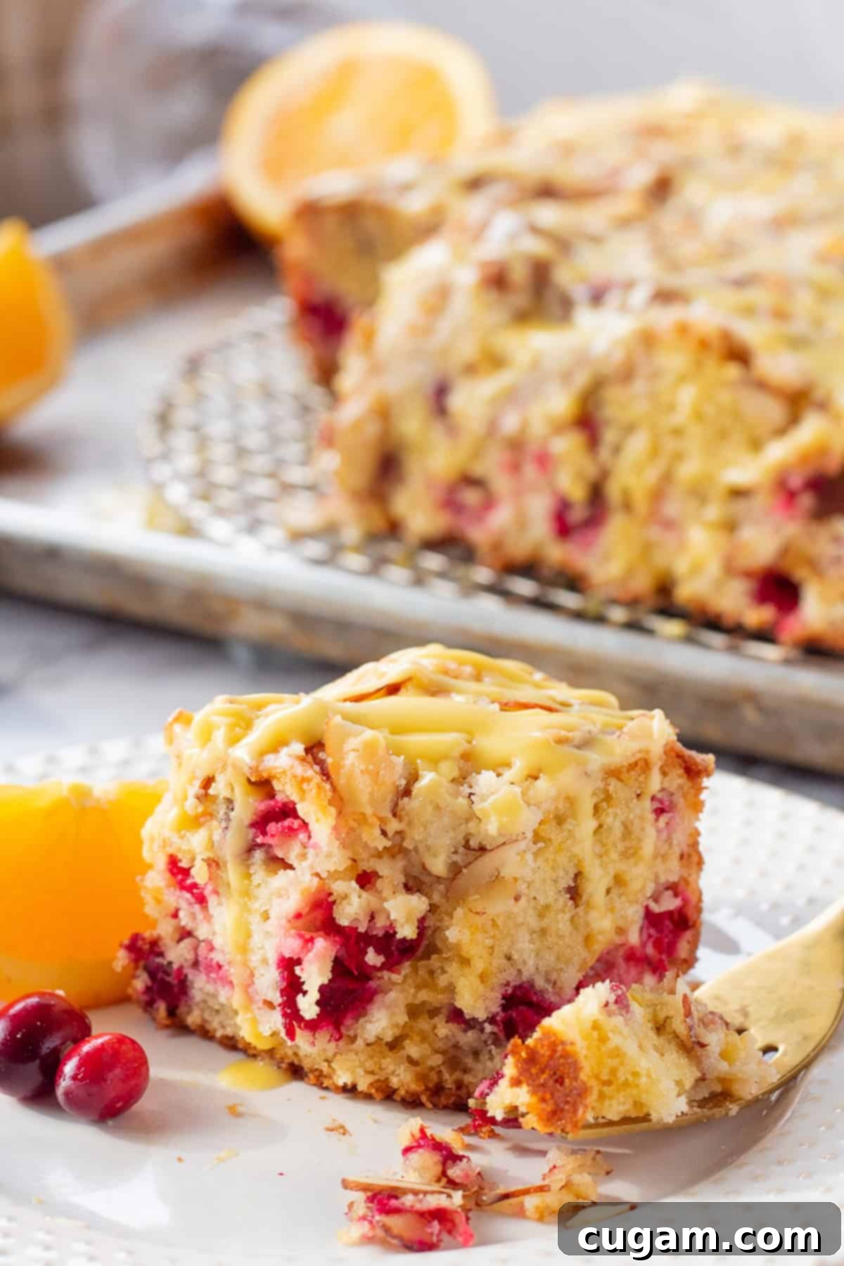 Baked cranberry orange coffee cake with a slice removed, showing its moist texture and cranberry filling, served on a white plate.