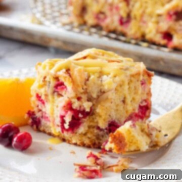 Baked cranberry orange coffee cake with a slice removed, showing its moist texture and cranberry filling, served on a white plate.