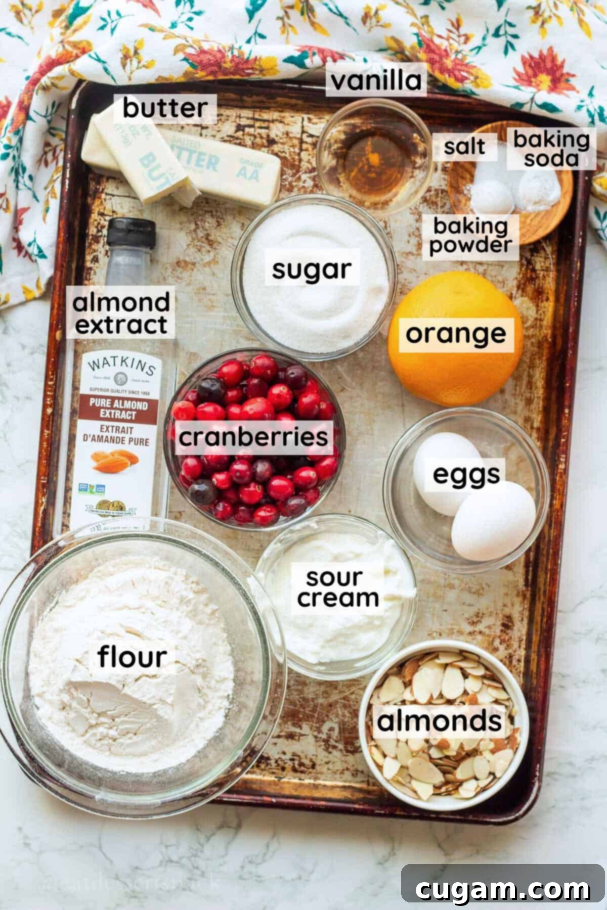 Various ingredients for cranberry coffee cake, including cranberries, oranges, butter, sugar, and flour, arranged in glass dishes on a metal pan.