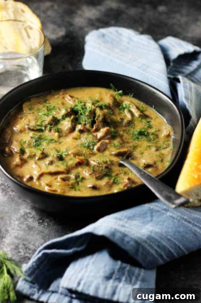 Instant Pot Beef Stroganoff in a bowl with a spoon, garnished with fresh dill