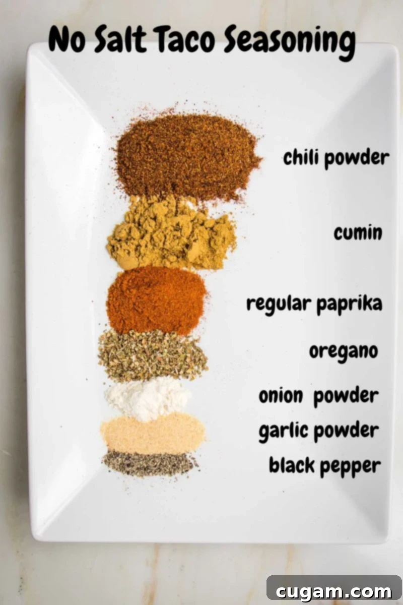 White plate with powdered spices lined up vertically, tagged: chili powder, vumin, paprika, oregano, onion powder, garlic powder, black pepper.