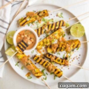 Round plate with grilled tofu satay skewers. One skewer with grill marks dipping into a small dish of peanut sauce.