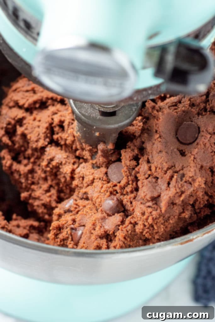 Raw chocolate pudding cookie dough. 