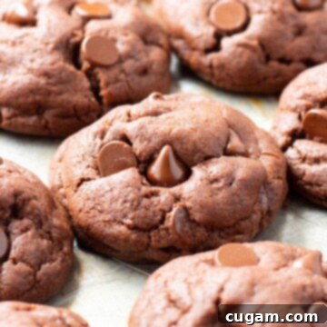 Baked Chocolate Pudding Mix Cookies on metal baking sheet.