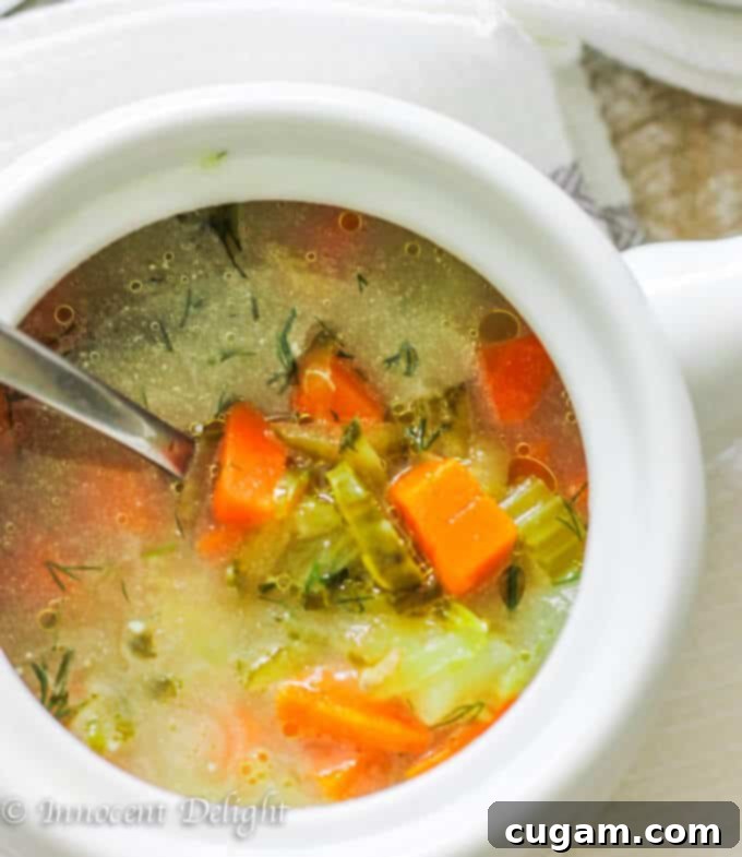 Dill pickle soup in white bowl with spoon, garnished with fresh dill