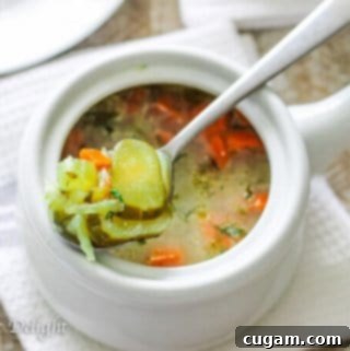 Traditional Polish Dill Pickle Soup
