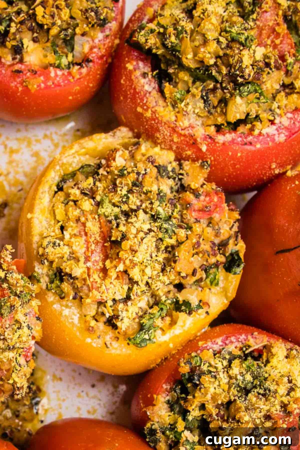 Close up of vegan stuffed tomatoes. Tomatoes are filled with quinoa, mushroom and kale stuffing.