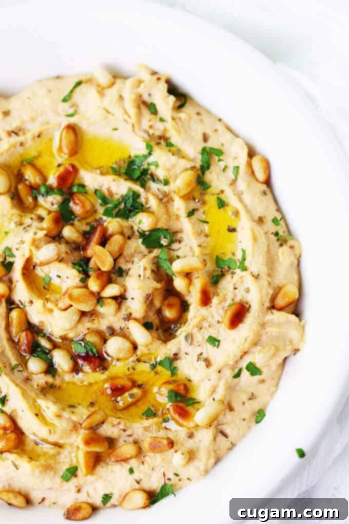 Creamy Chipotle Hummus garnished with roasted pine nuts, olive oil, and fresh parsley, served with pita bread.