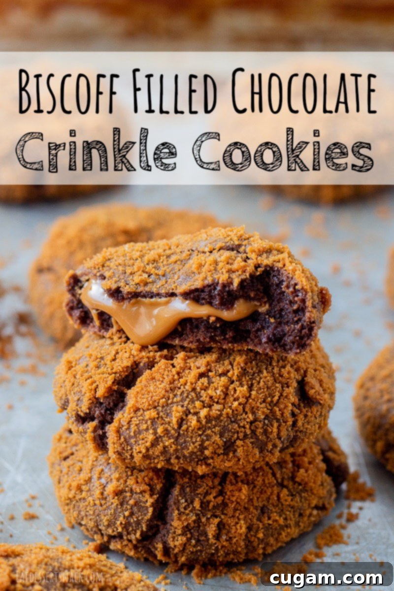 stack of 3 Baked biscoff filled chocolate crinkle cookies on a pan