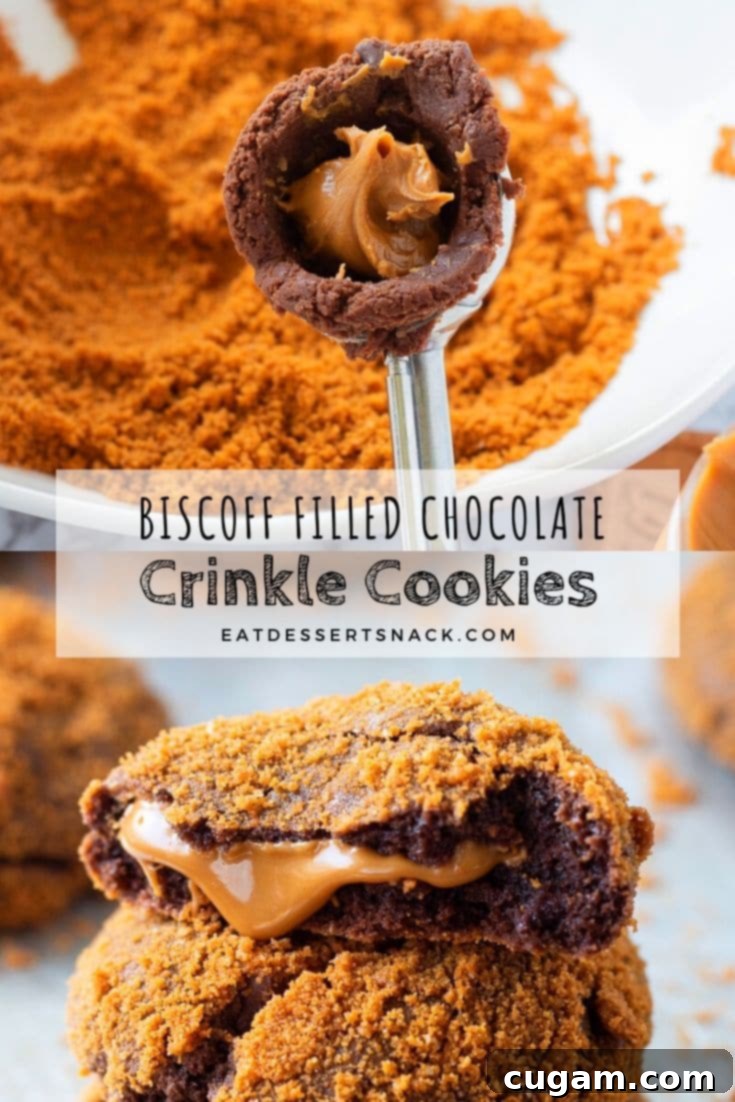 Cookie Scoop with chocolate dough and cookie butter and baked chocolate cookie. 