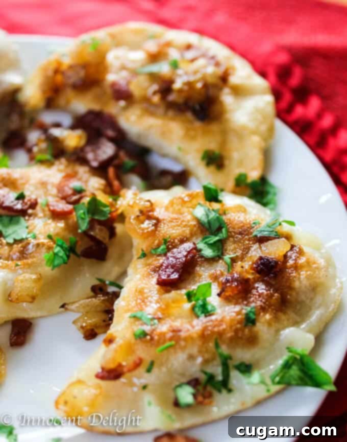 Homemade Sauerkraut and Mushroom Pierogi 13 authentic polish pierogi with potatoes and cheese