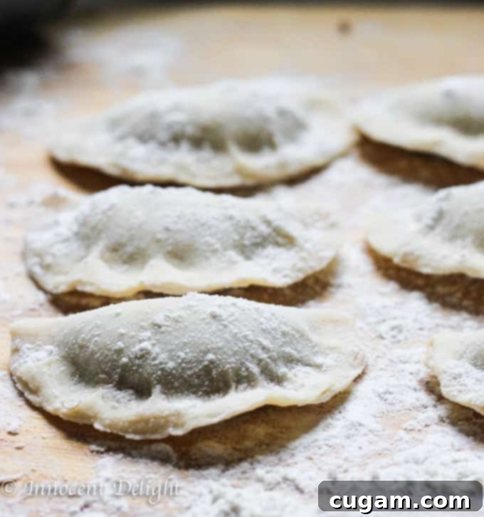 Homemade Sauerkraut and Mushroom Pierogi 3 Authentic Homemade Sauerkraut and Mushrooms Pierogi
