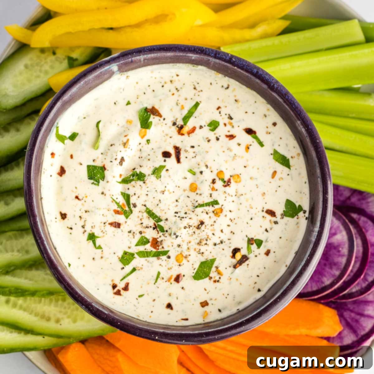 A beautifully presented bowl of creamy homemade ranch dip, garnished with fresh herbs, ready for serving with colorful vegetables and chips.