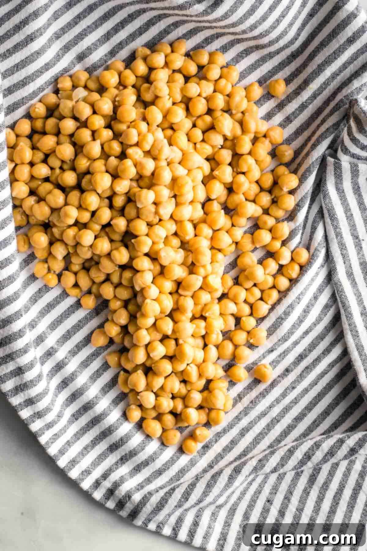 Canned chickpeas spread out on a striped dish towel, ready to be dried.
