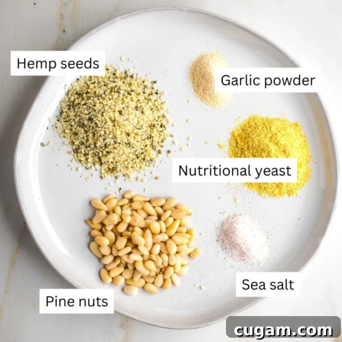 Labeled ingredients sprinkled onto a plate: pine nuts, hemp seeds, garlic powder, nutritional yeast, salt.