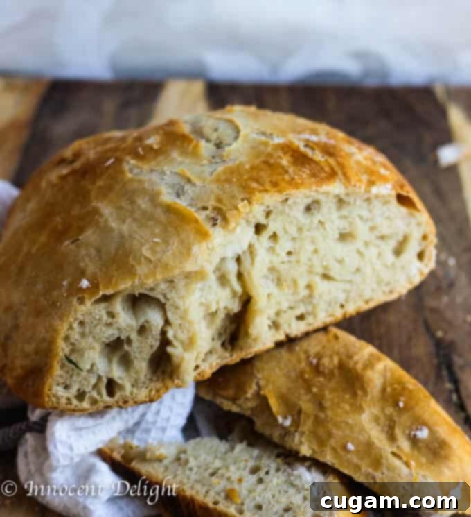 Rustic Homemade Dutch Oven Crusty Bread, golden brown and delicious.