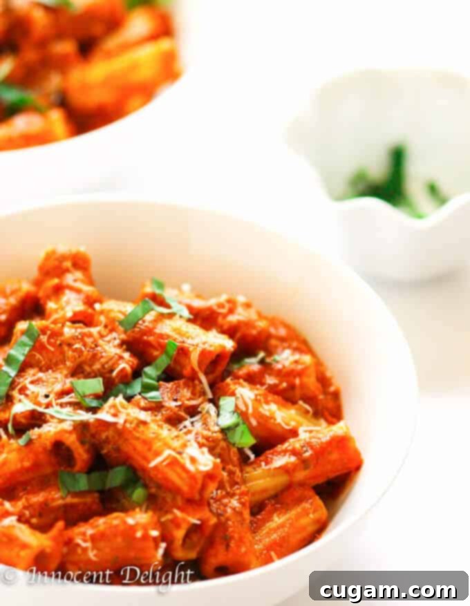 Close-up of a pot of simmering tomato basil sauce with carrots and garlic for rigatoni.