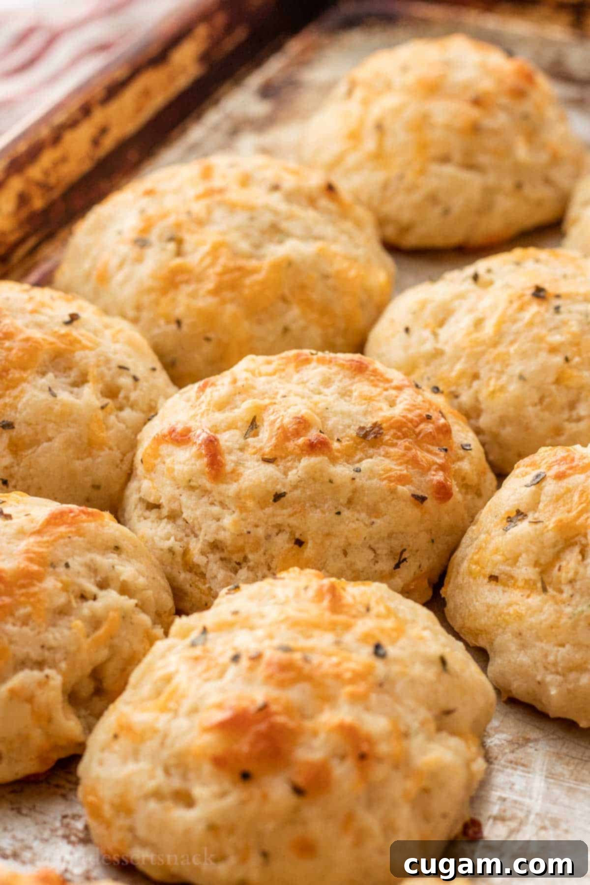 Baked cheddar garlic drop biscuits on metal pan.