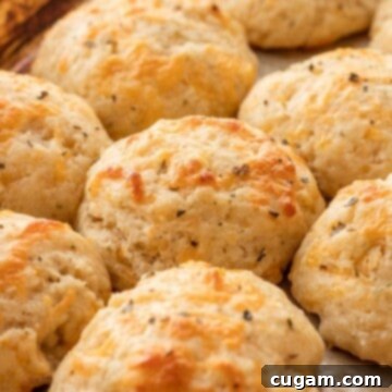 Baked cheddar garlic drop biscuits on metal pan.