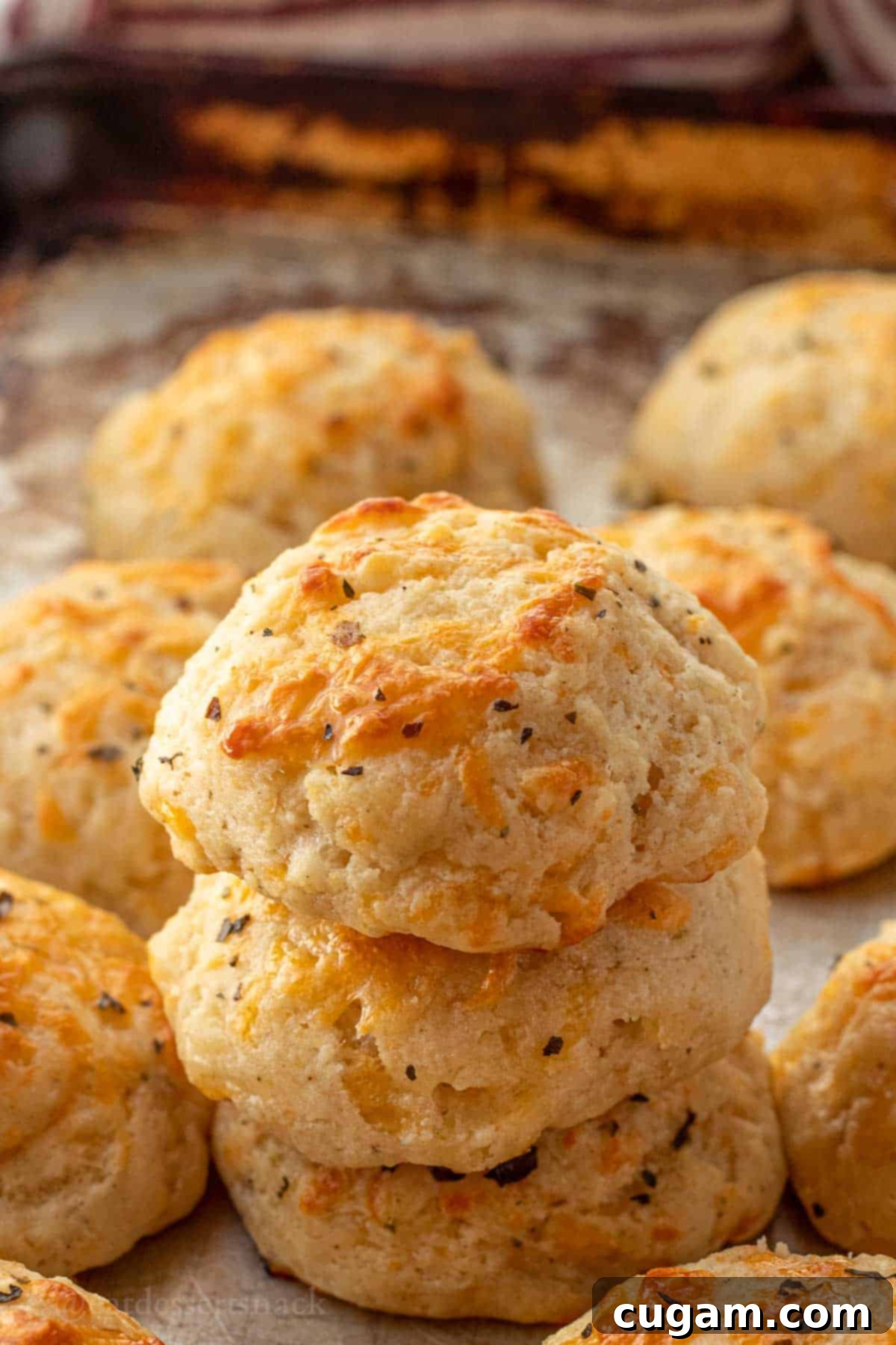 Stack of baked cheddar garlic drop biscuits on metal pan.