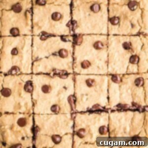Rows of square cut blondies with chocolate chips.