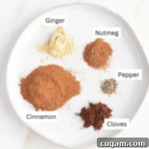 Labeled ingredients for pumpkin pie spice: ginger, nutmeg, pepper, cinnamon, cloves.
