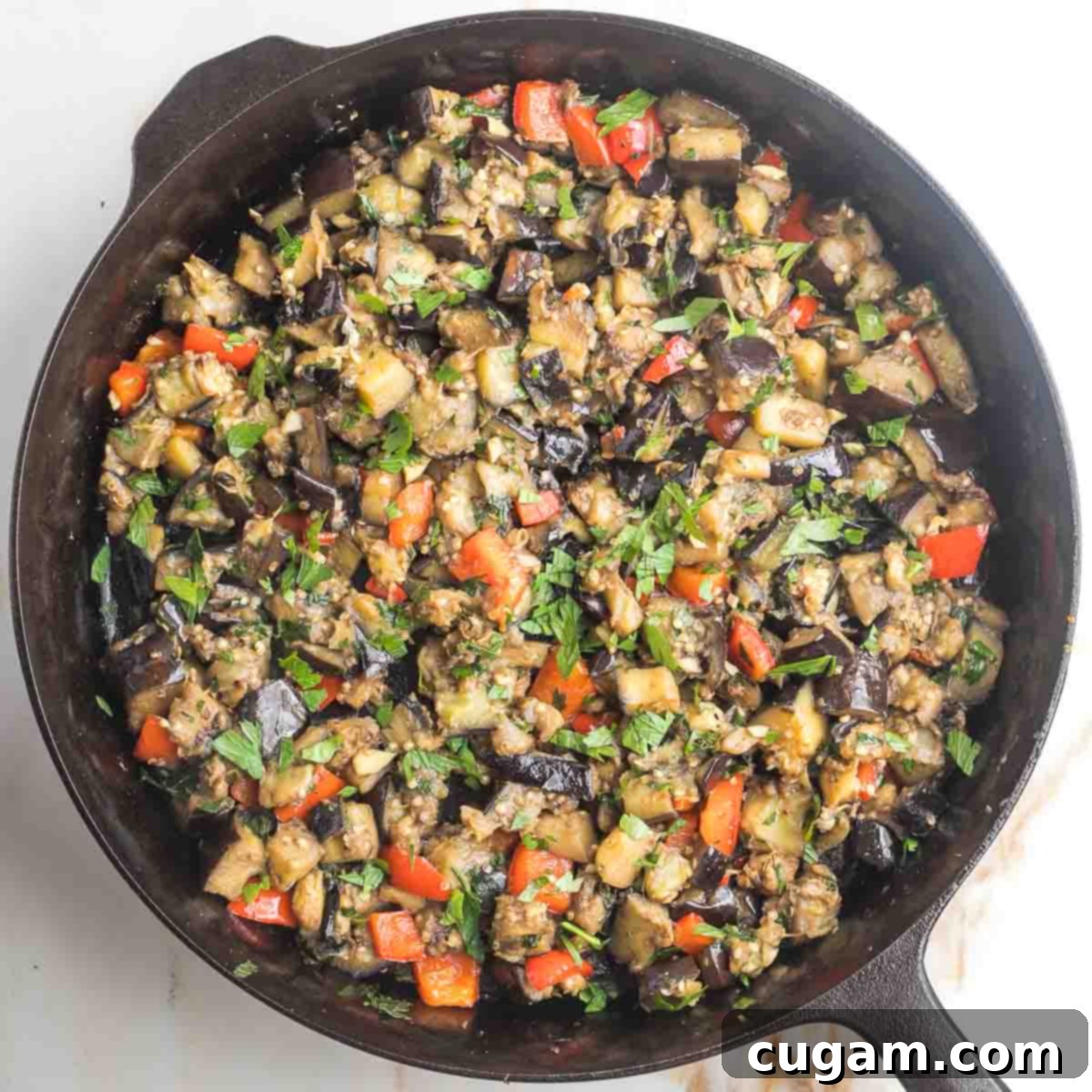 Pan-Fried Eggplant Salad 13 A close-up of the finished sautéed eggplant cubes with red bell pepper, fresh parsley, garlic, and spices, beautifully cooked in a cast iron skillet.