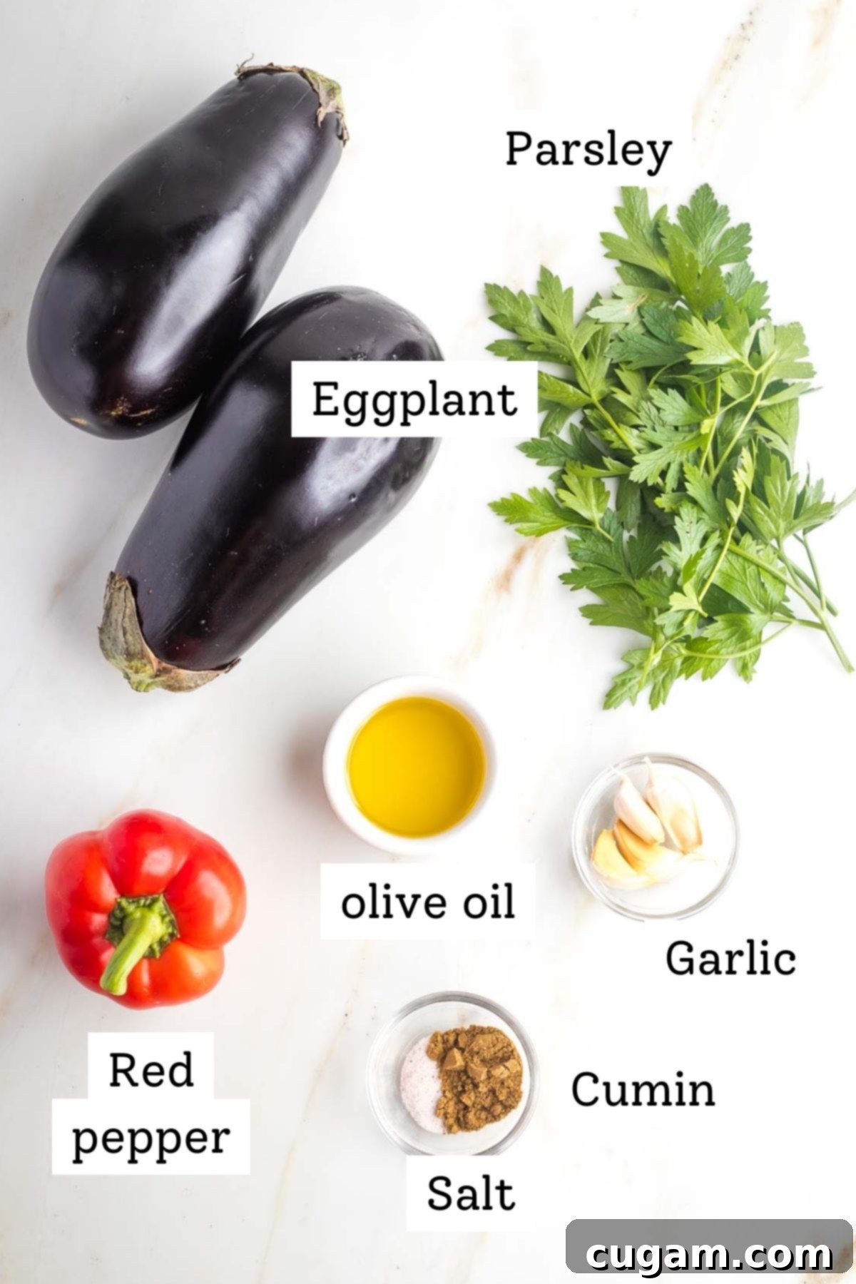 Pan-Fried Eggplant Salad 3 A selection of fresh ingredients including eggplant, red bell pepper, fresh parsley, and garlic cloves, ready for cooking.