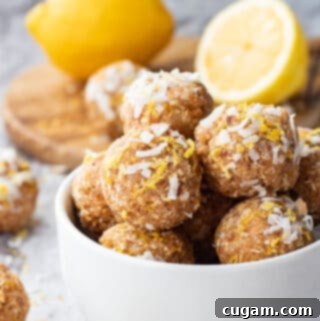 Zesty Lemon Coconut Protein Bites 2 img 2137 5