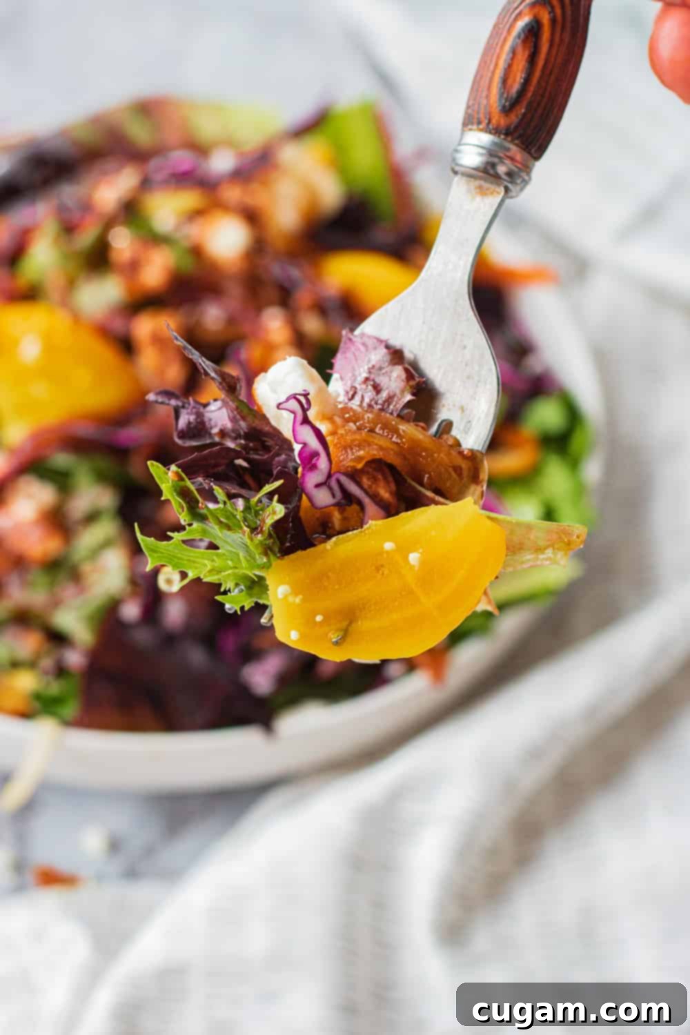 Fork holding gold beet, arugula lettuce, caramelized onion and red cabbage with salad in background. 