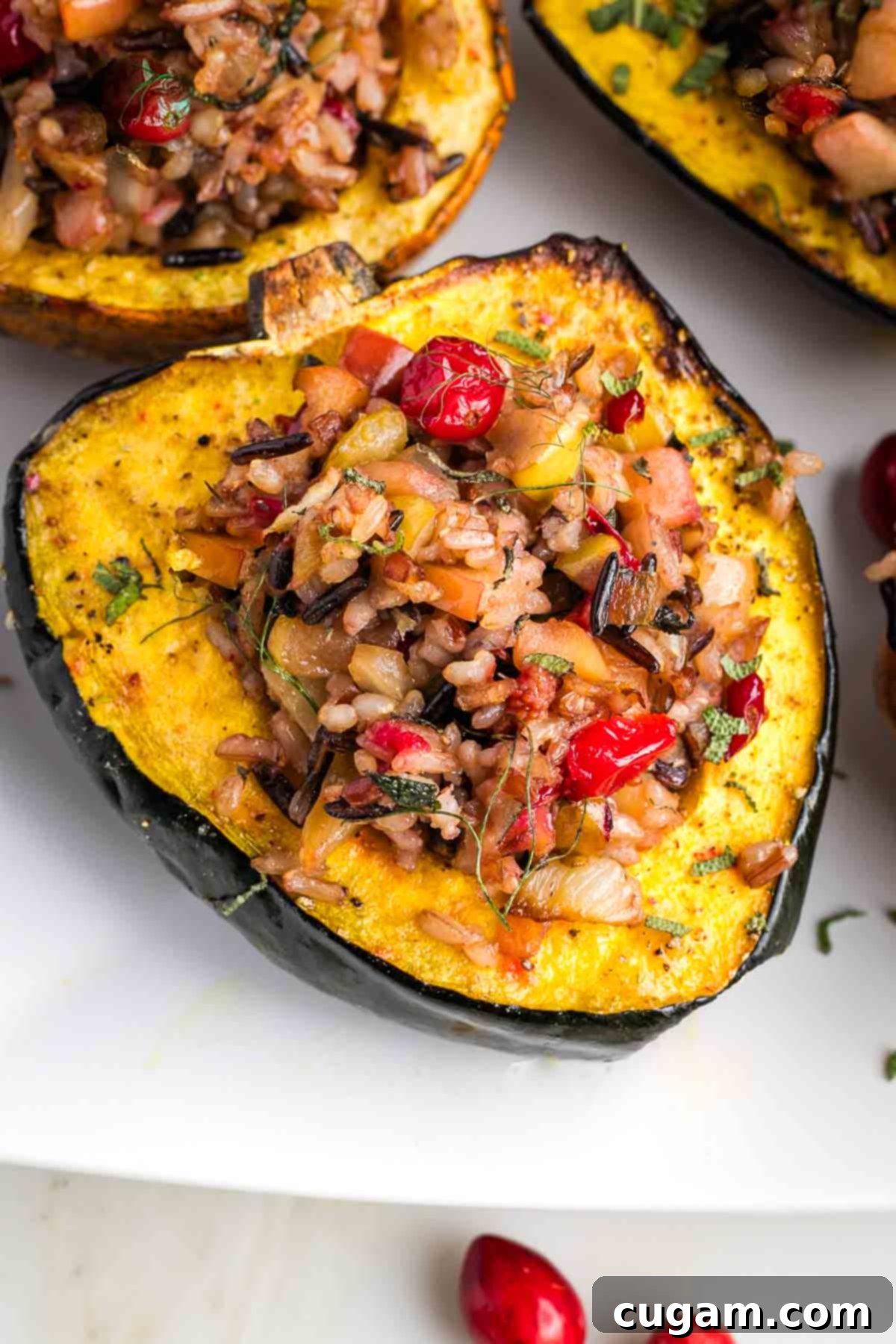 Acorn squash half, filled with wild rice and cranberry stuffing.