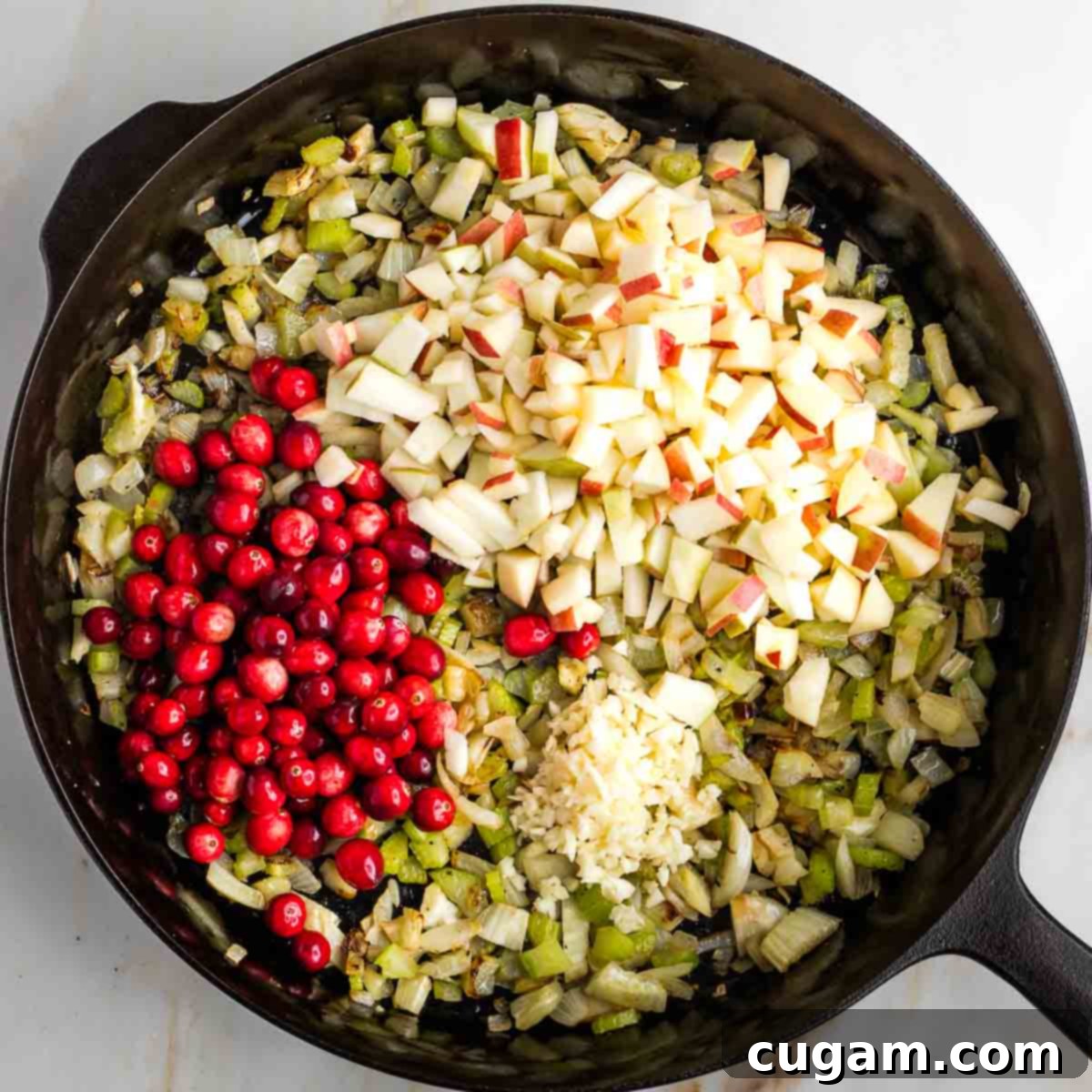 Sauteed veggies with fresh cranberries, chopped apples and minced garlic on top.