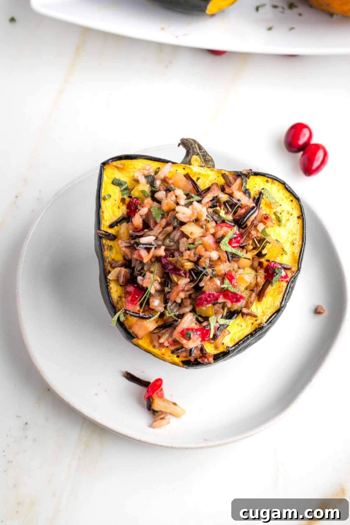 Acorn squash with wild rice stuffing and cranberries.