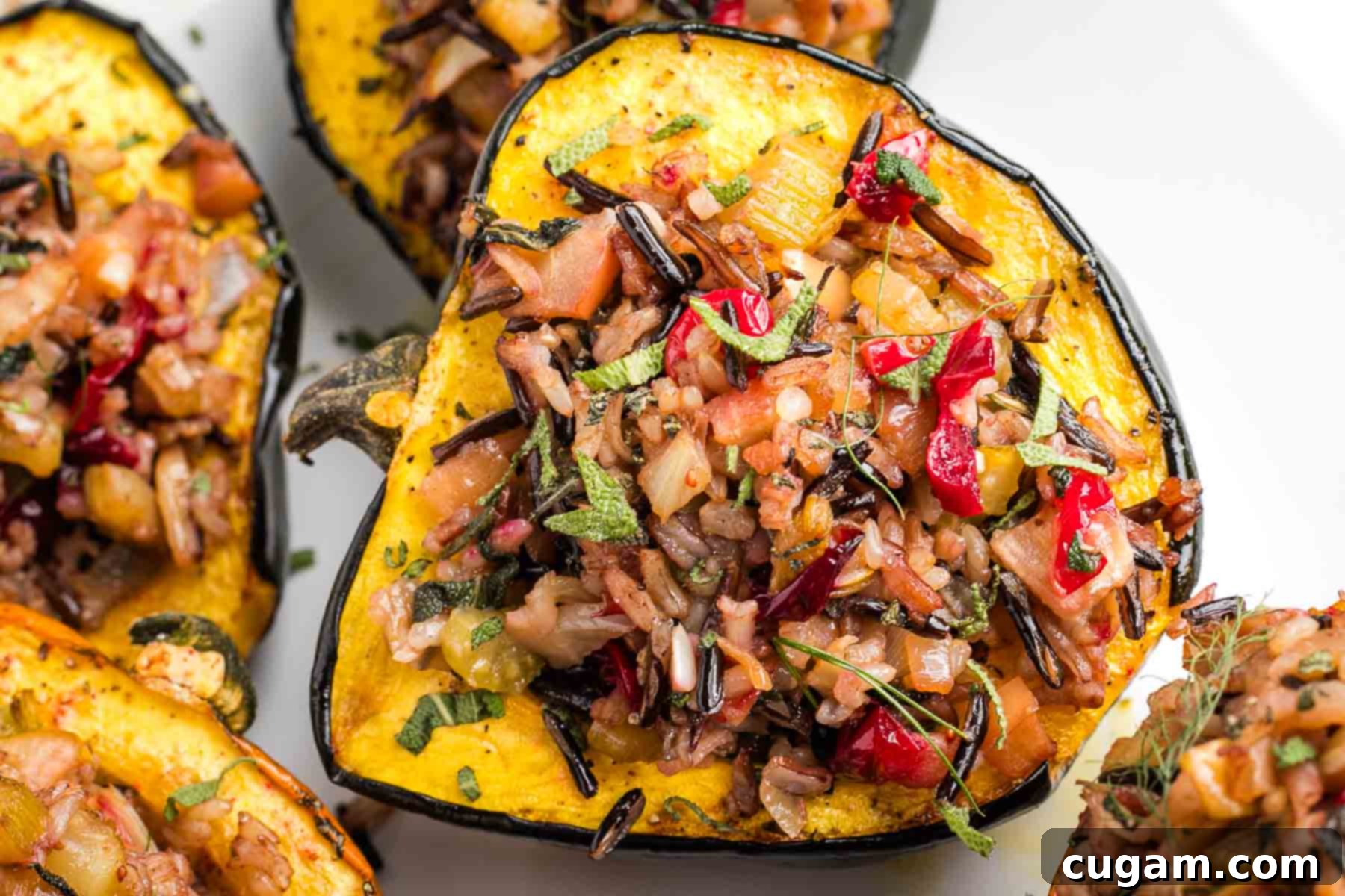 Acorn squash half, filled with colorful wild rice stuffing. 