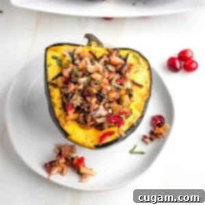 Acorn squash half, filled with wild rice and cranberry stuffing.
