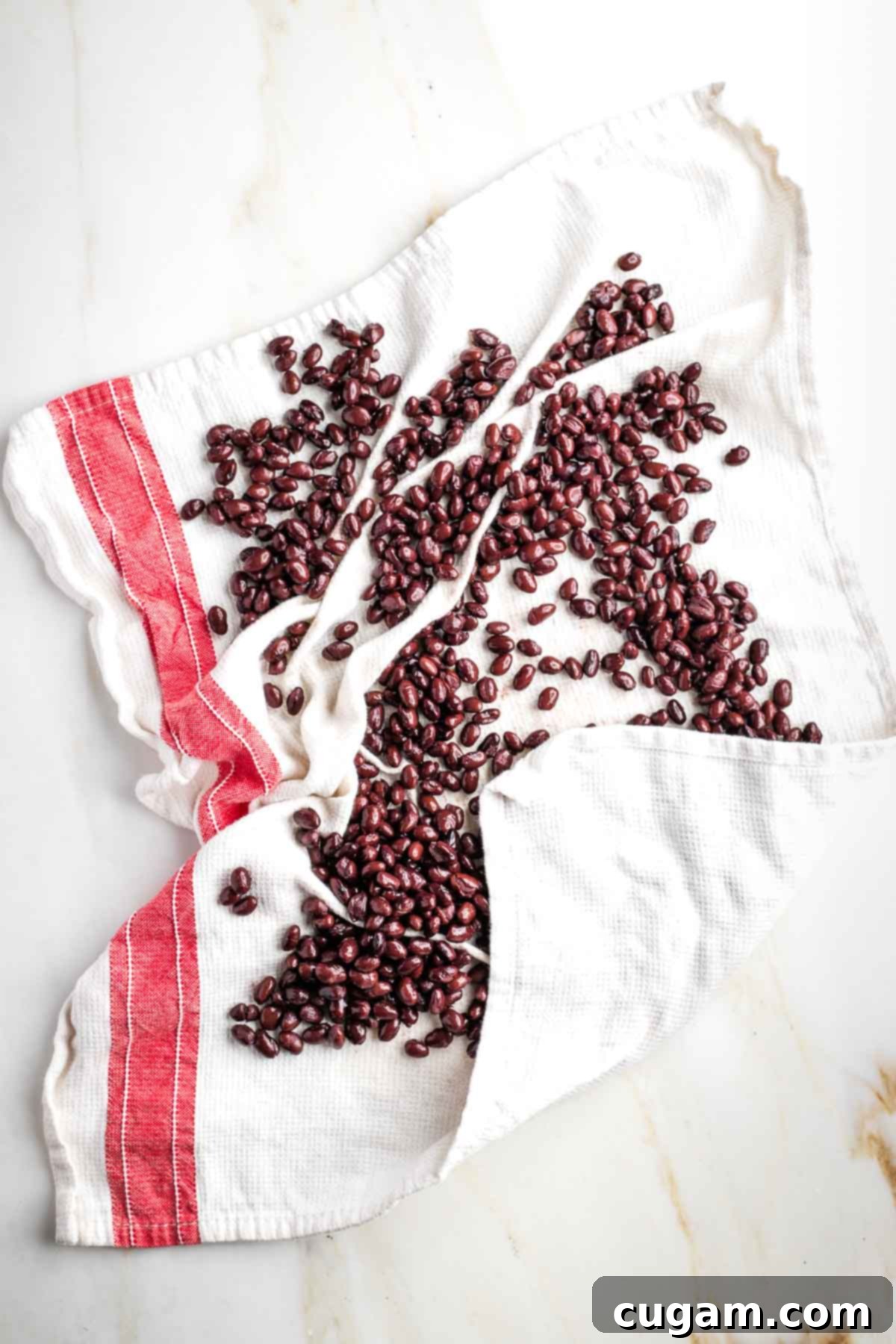 Black beans spread on a white kitchen towel with red trim.