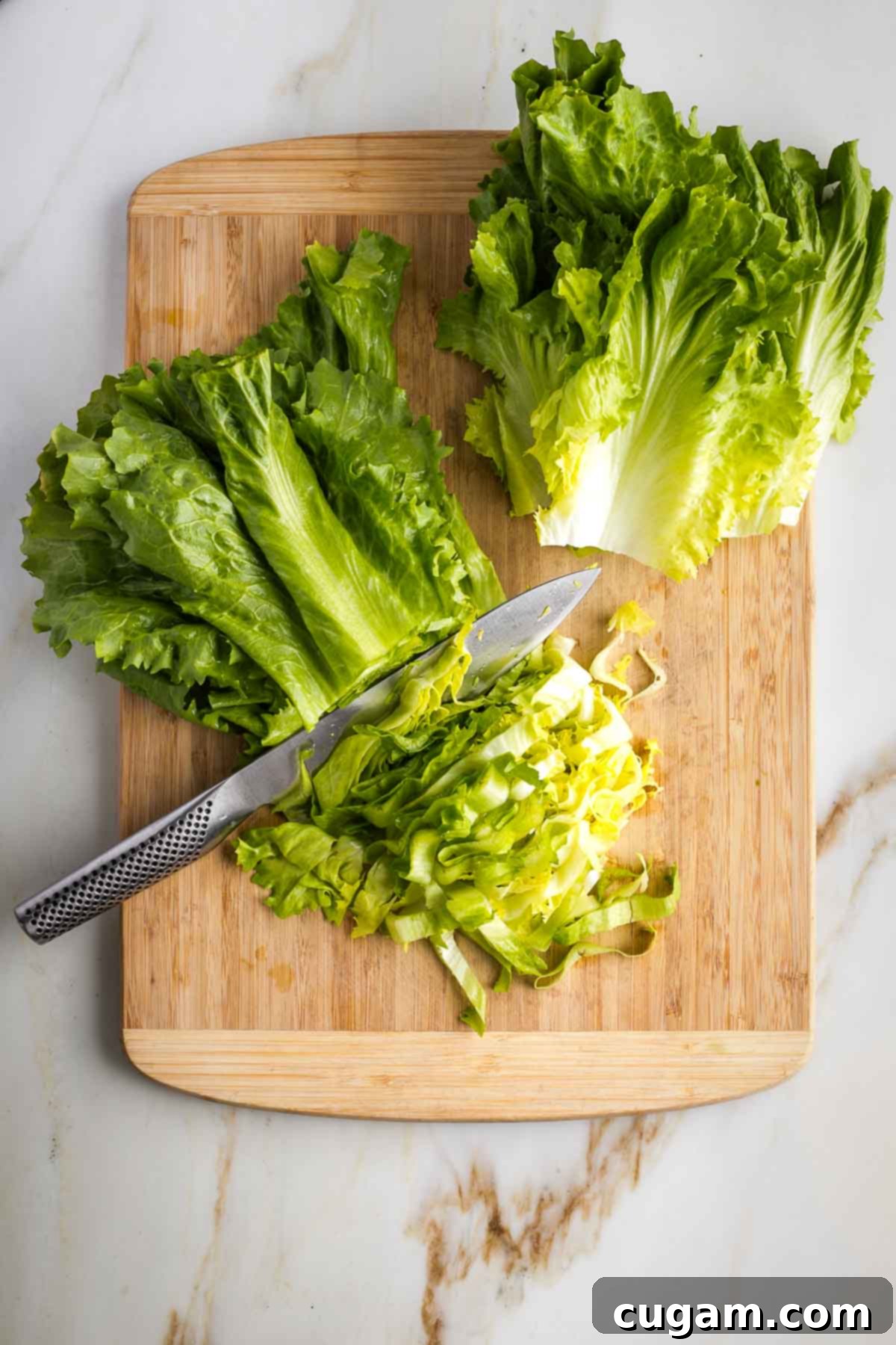 Escarole leaves stacked and cut into strips, both the dark green and the yellowish part. 