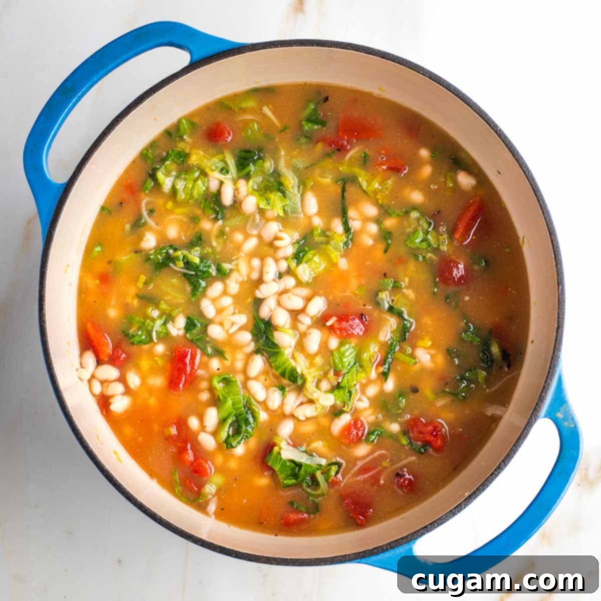 Chunks of greens, tomatoes and beans in a orangish broth in a dutch oven.