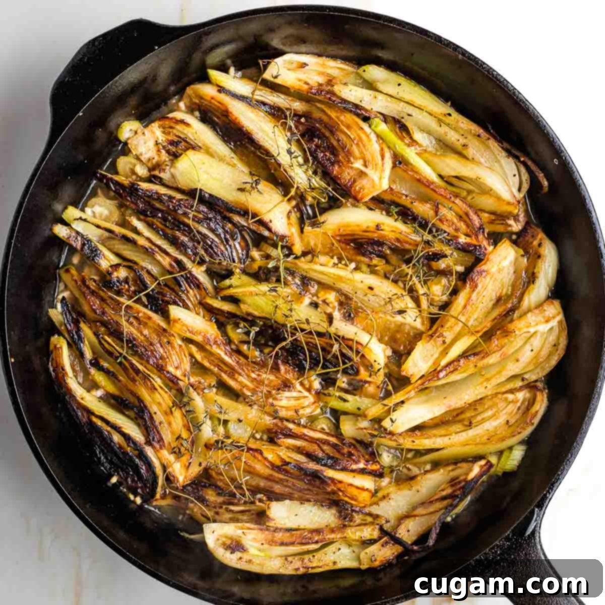 Braised and caramelized fennel simmering gently in a cast iron skillet, covered to cook.