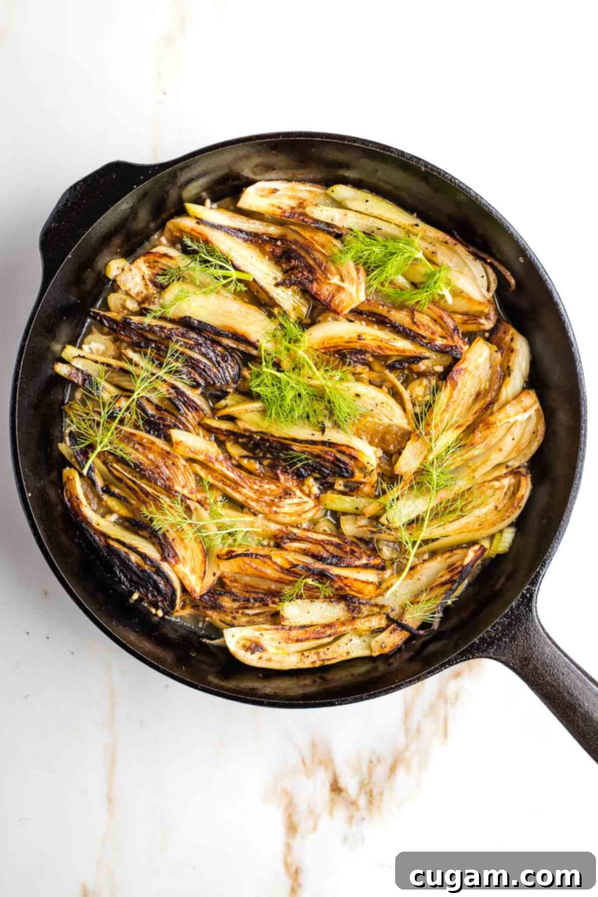 Braised fennel wedges arranged beautifully on a platter, garnished with fresh fennel fronds.